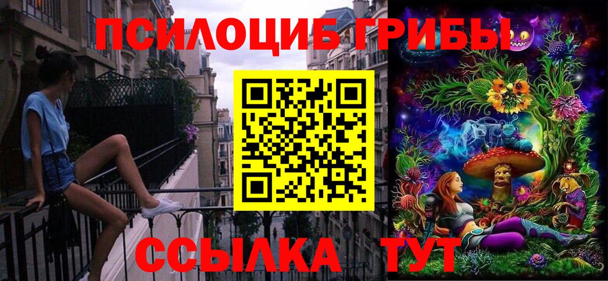Псилоцибиновые грибы прущие грибы Донецк