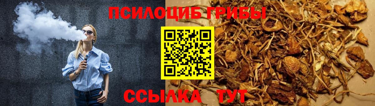 где можно купить наркотик  Галлюциногенные грибы прущие грибы  Вход с VPN  Донецк  Псилоцибиновые грибы мицелий 